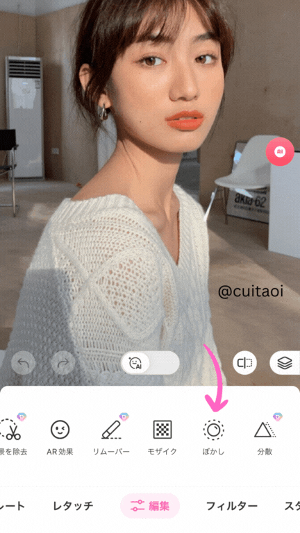 10 recommended free photo processing apps for mosaicing and blurring