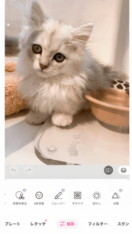 10 recommended free photo processing apps for mosaicing and blurring