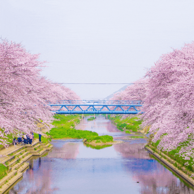 10 recommended free photo processing apps for mosaicing and blurring